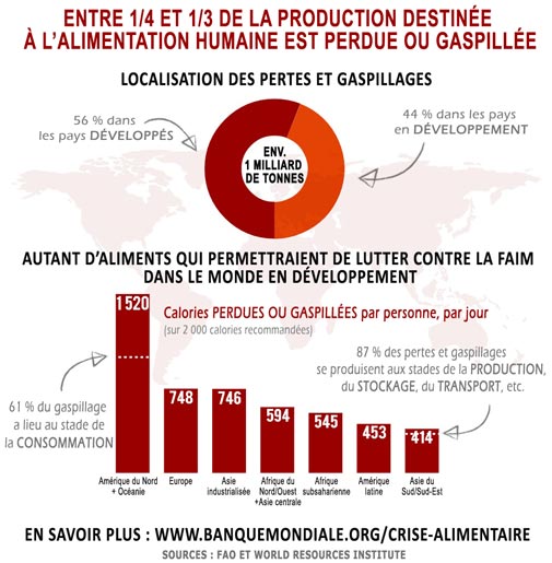 Infographie : Pertes Et Gaspillages De Denrées Alimentaires